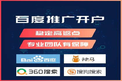 某企业通过百度SEM实现ROI最大化的案例